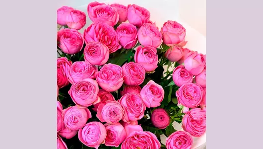 Монобукет из&nbsp;15 пионовидных роз "Розовый шарм" FMART by flowwow