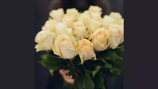 Роза шарман 5 шт. (50см)