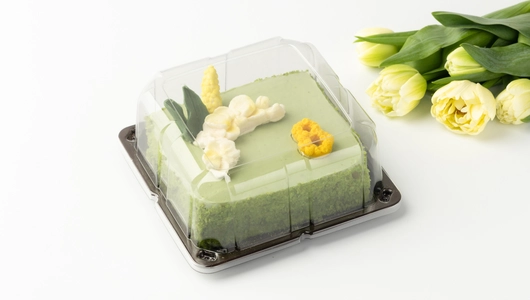 Торт “Праздник марта” фисташковый с&nbsp;малиной