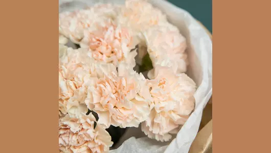 Заварное пирожное. Букет кремовые гвоздики в&nbsp;крафте FMART by flowwow