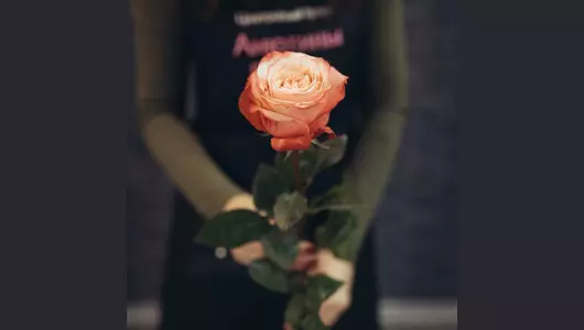Роза Кахала  5шт. (70см)