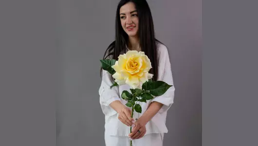 Французская кремовая Роза Кендилайт  5шт. (70см)