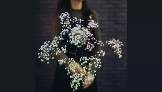 Букет из&nbsp;25 радужных гипсофил