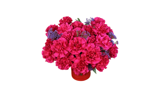 Коробка с 21 розовыми французскими розами (ВОХ 48)
