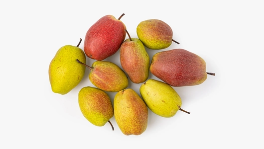 Груша Маргарита