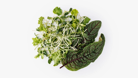 Микс из микрозелени подсолнечника и салата кейла , 50 г