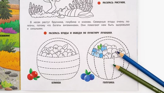 Книжка с&nbsp;наклейками "Природа России"