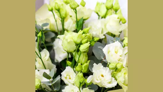 Монобукет из&nbsp;белого лизиантуса с&nbsp;эвкалиптом FMART by flowwow