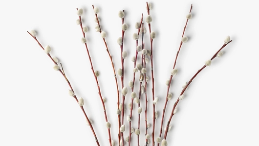 Вербы букет, 9 шт