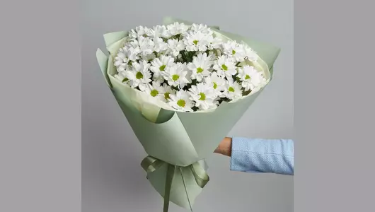 Хризантема кустовая в букете "Бакарди" FMART by flowwow