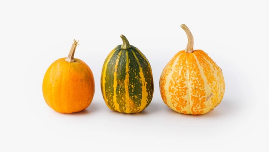 Тыква декоративная в ассортименте, 3 шт