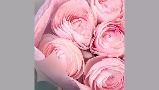 Монобукет из&nbsp;7 ранункулюсов "Искры счастья" FMART by flowwow