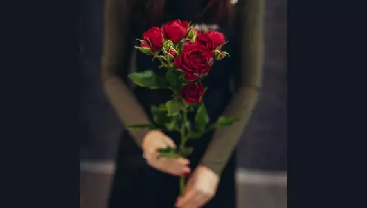 Роза кустовая, красная 5шт. (70см)