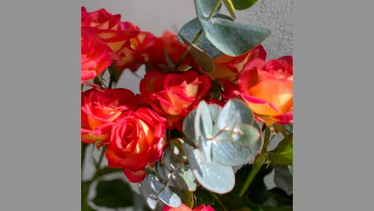 Рамка с&nbsp;колбами Розы с&nbsp;эвкалиптом FMART by flowwow