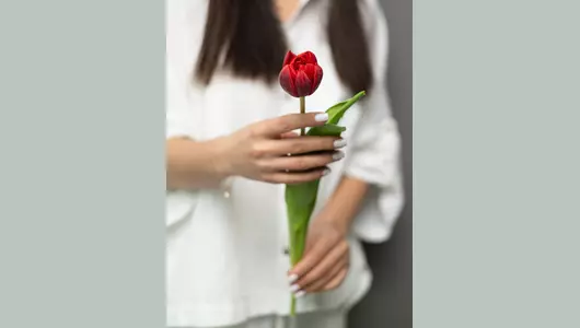 Тюльпан Ред Принцесс: красный и&nbsp;роскошный  5шт.