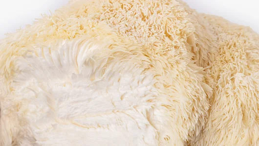 Грибы Ежовики, 125г