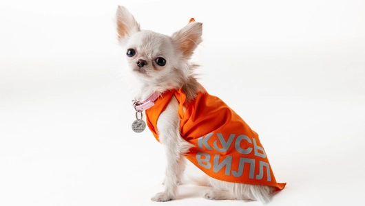 Бандана для собак (оранжевая) со светоотражающими элементами