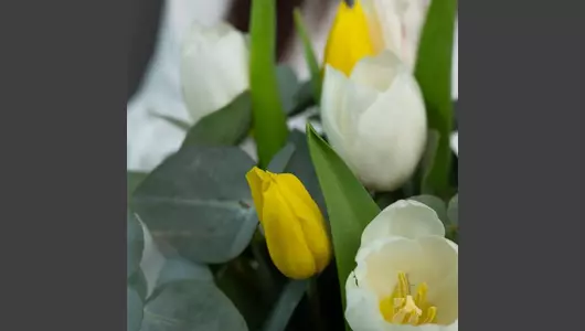 Коробка шляпная из&nbsp;тюльпанов микс