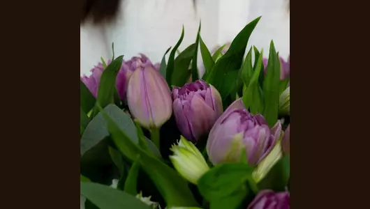 Шляпная коробка из&nbsp;фиолетовых пионовидных тюльпанов и&nbsp;альстромерий