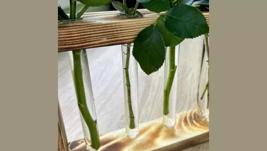 Рамка с&nbsp;розовыми кустовыми розами и&nbsp;эвкалиптом FMART by flowwow