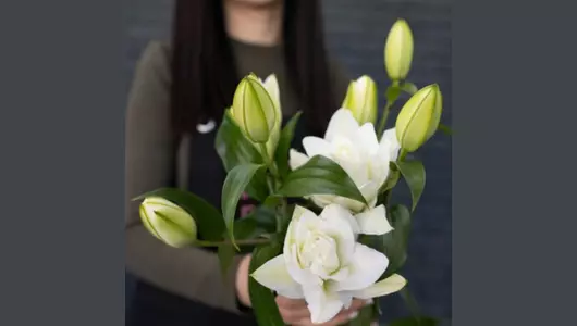 Букет из&nbsp;лилии,лилия пионовидная, Аннушка (3 штуки)