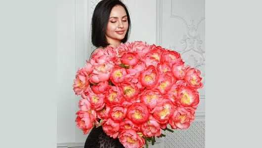 Букет пионов корал 35 шт