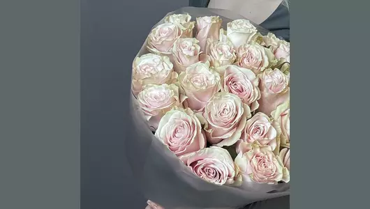 Моно Мондиаль (25шт) FMART by flowwow