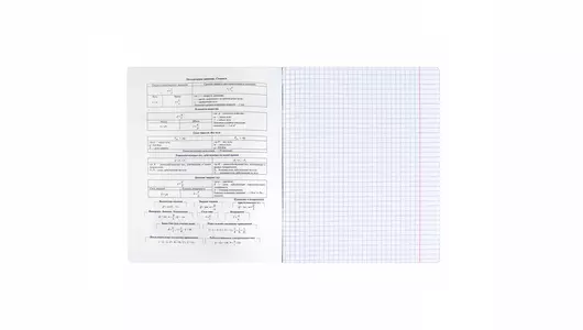 Тетрадь общая Феникс+ предметная Селфи Физика A5 48 листов в клетку на скрепке Тетрадь общая Феникс+ предметная Селфи Физика A5 48 листов в клетку на скрепке