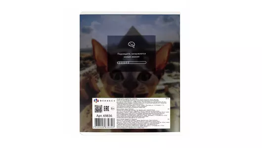 Тетрадь общая Феникс+ предметная Селфи Геометрия A5 48 листов в клетку на скрепке