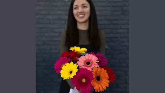 Букет из&nbsp;9 гербер микс