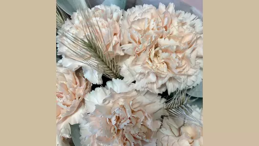 Букет комплимент из&nbsp;гвоздик FMART by flowwow