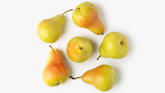 Груша Апрелька