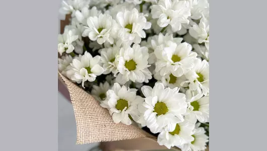 Эко-букет 15 хризантем FMART by flowwow