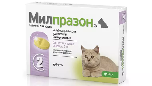 Милпразон антигельминтик для котят и молодых кошек 2*4 мг/10 мг (KRKA) (2таб/уп)
