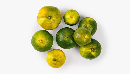 Мандарины Новый урожай