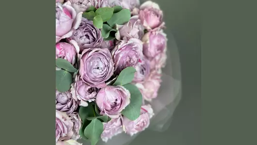 Кустовая пионовидная роза Лавандер Баблс (15шт) FMART by flowwow