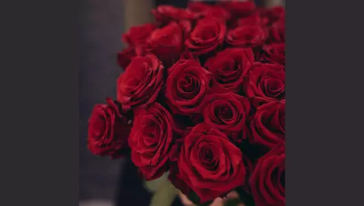 Букет из&nbsp;55 красных роз (70см)