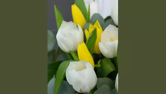 Шляпная коробка из&nbsp;тюльпанов микс