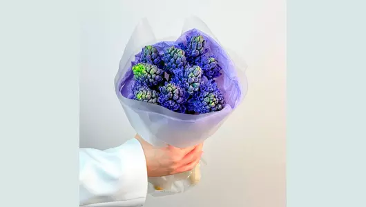 Монобукет из&nbsp;9 синих гиацинтов "Весенний акцент" FMART by flowwow