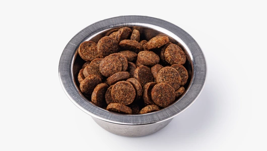 Корм сухой для взрослых собак всех пород с индейкой и говядиной