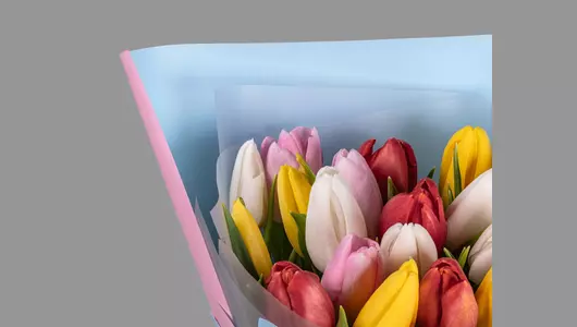 Букет из&nbsp;25 тюльпанов микс стандарт в&nbsp;оформлении