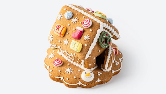 Набор из пряников (зимний дом)