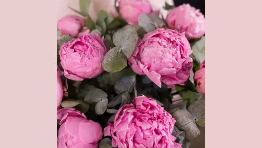 Шляпная Коробка: монобукет из&nbsp;пионов