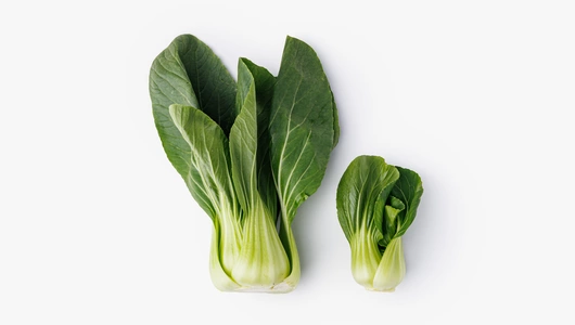 Салат Пак Чой, 1 шт Салат Пак Чой, 1 шт