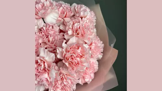 Моно розовые гвоздики (15шт) FMART by flowwow