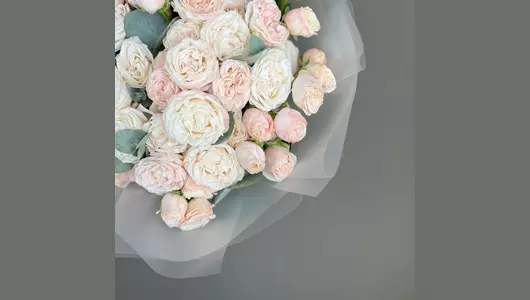 Пионовидная кустовая Роза (25 шт) FMART by flowwow