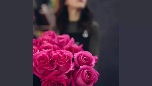 Букет из&nbsp;23 розовых роз Пинк Флойд (70см)