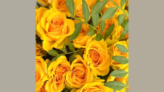 Букет Желтые кустовые розы FMART by flowwow