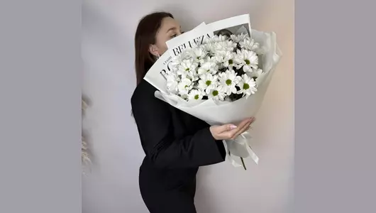 Хризантема ромашка