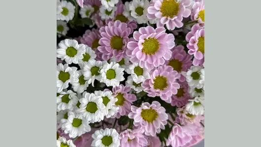 Букет сантини Микс FMART by flowwow